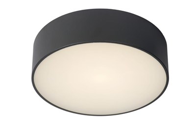 Lucide ROXANE - Plafonnière Badkamer - Ø 25 cm - LED - 1x10W 2700K - IP65 - Antraciet