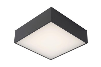 Lucide ROXANE - Deckenleuchte Badezimmer - LED - 1x12W 2700K - IP54 - Anthrazit