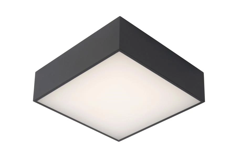 Lucide ROXANE - Plafonnier Salle de bains - LED - 1x12W 2700K - IP54 - Anthracite - AAN 9