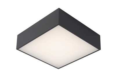 Lucide ROXANE - Flush ceiling light Bathroom - LED - 1x12W 2700K - IP54 - Anthracite