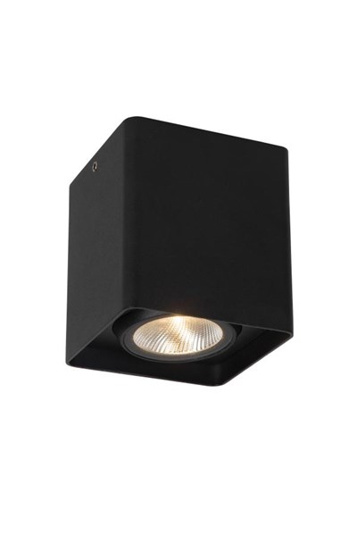 Lucide LEEDS - Plafonnier Intérieur/Extérieur - LED - 1x9W 2700K - IP54 - Noir