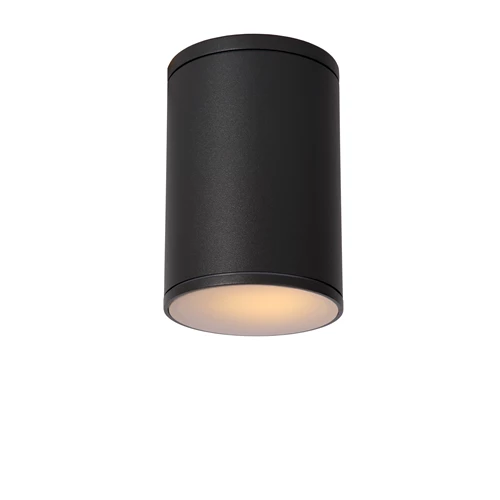 Lucide TUBIX - Plafondspot Binnen/Buiten - Ø 10,8 cm - 1xE27 - IP54 - Antraciet - aangezet