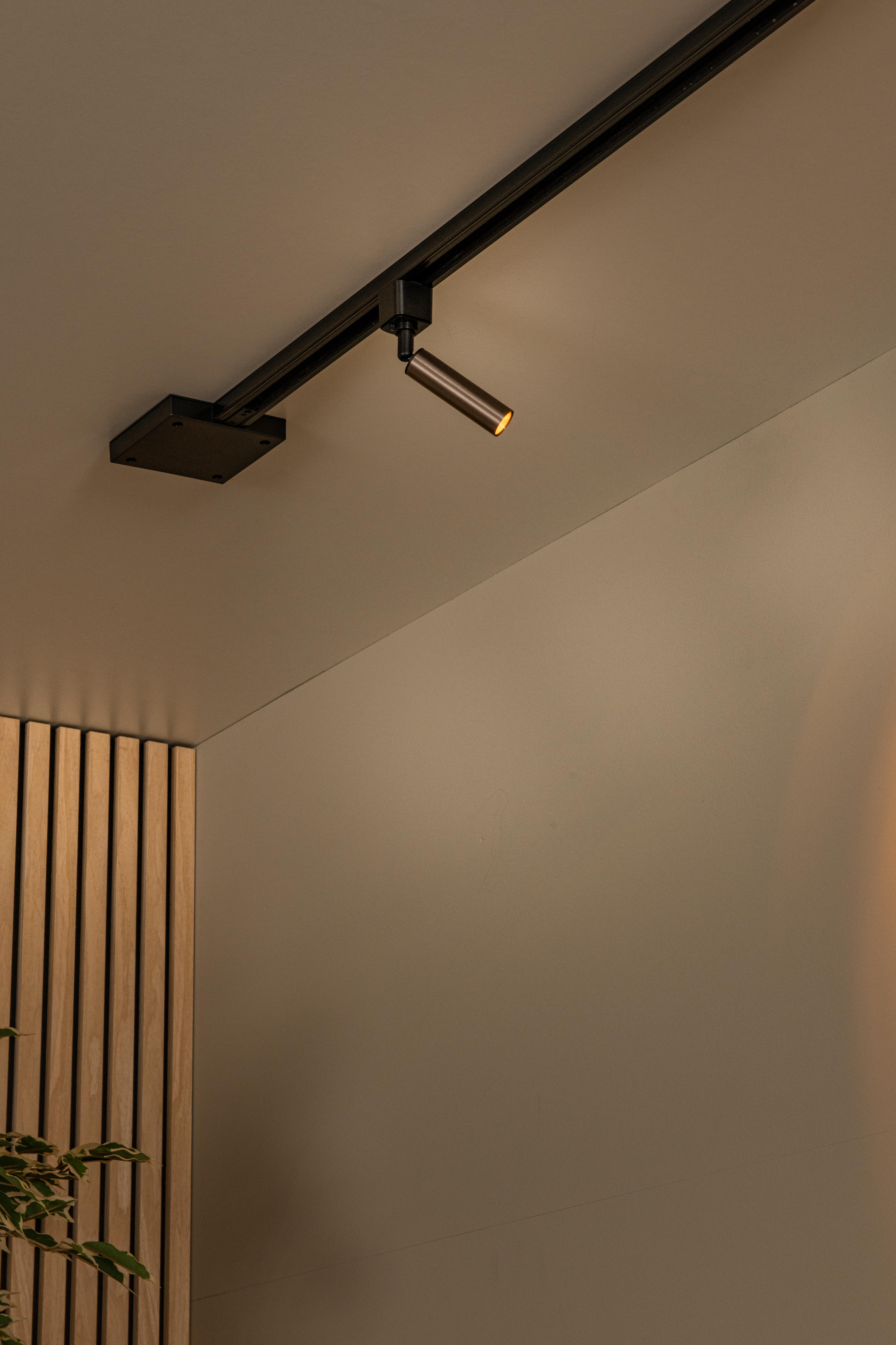 Lucide TRACK KEONI Track spot - 1-circuit Track lighting system - 1xG9 ...