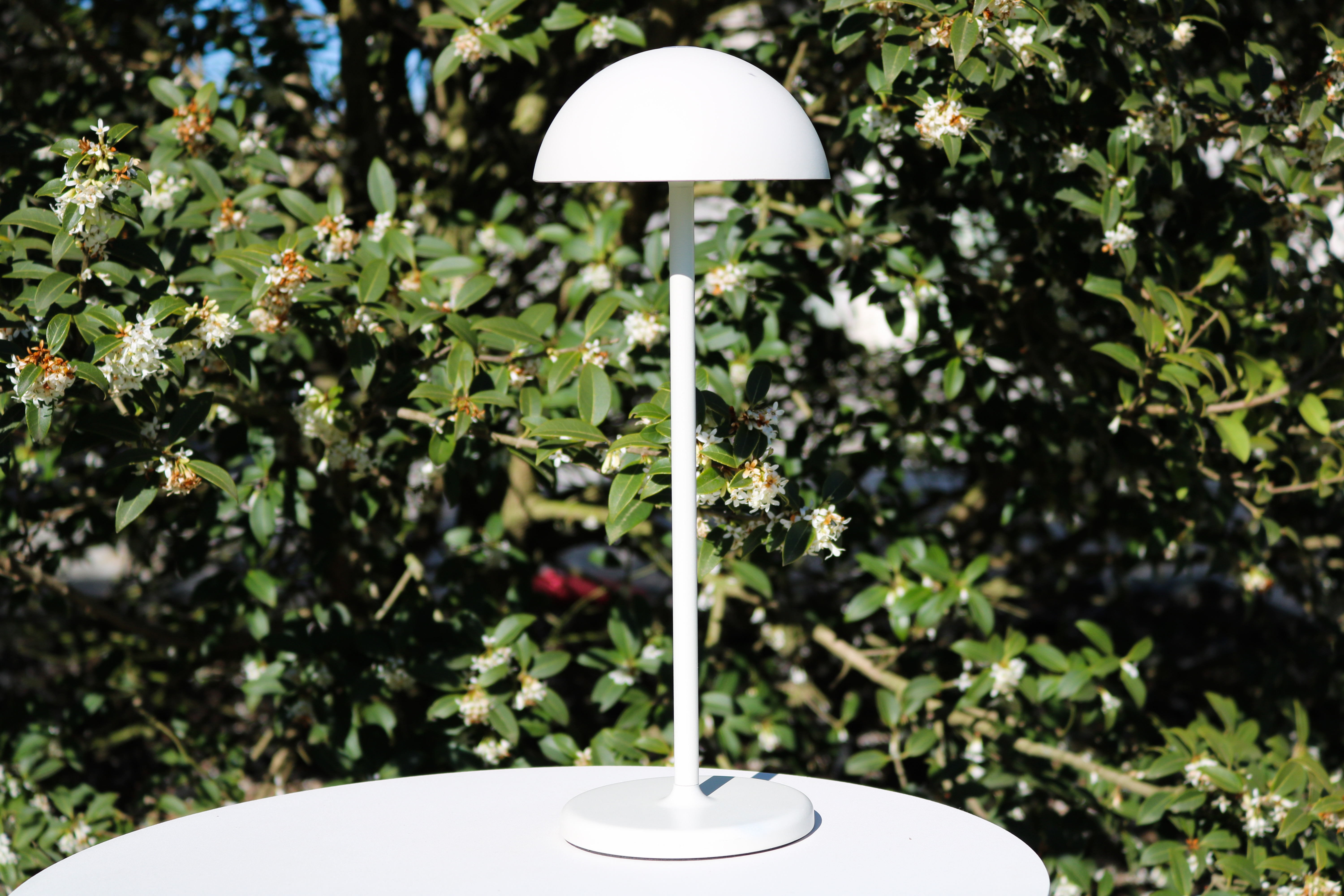 CINTRA - Lampe de table Rechargeable - Batterie/Piles - 11 cm