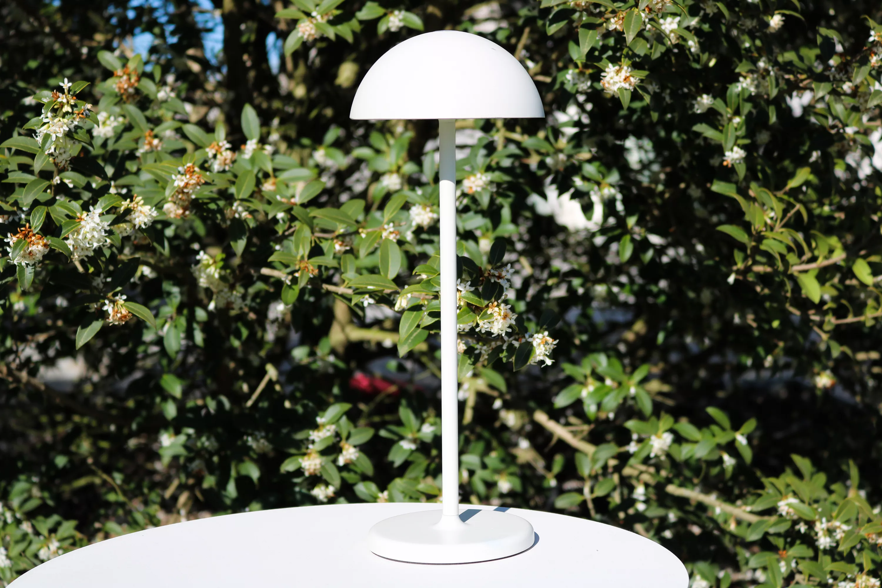 CINTRA - Lampe de table Rechargeable - Batterie/Piles - 11 cm CINTRA - Lampe de table Rechargeable - Batterie/Piles - 11 cm