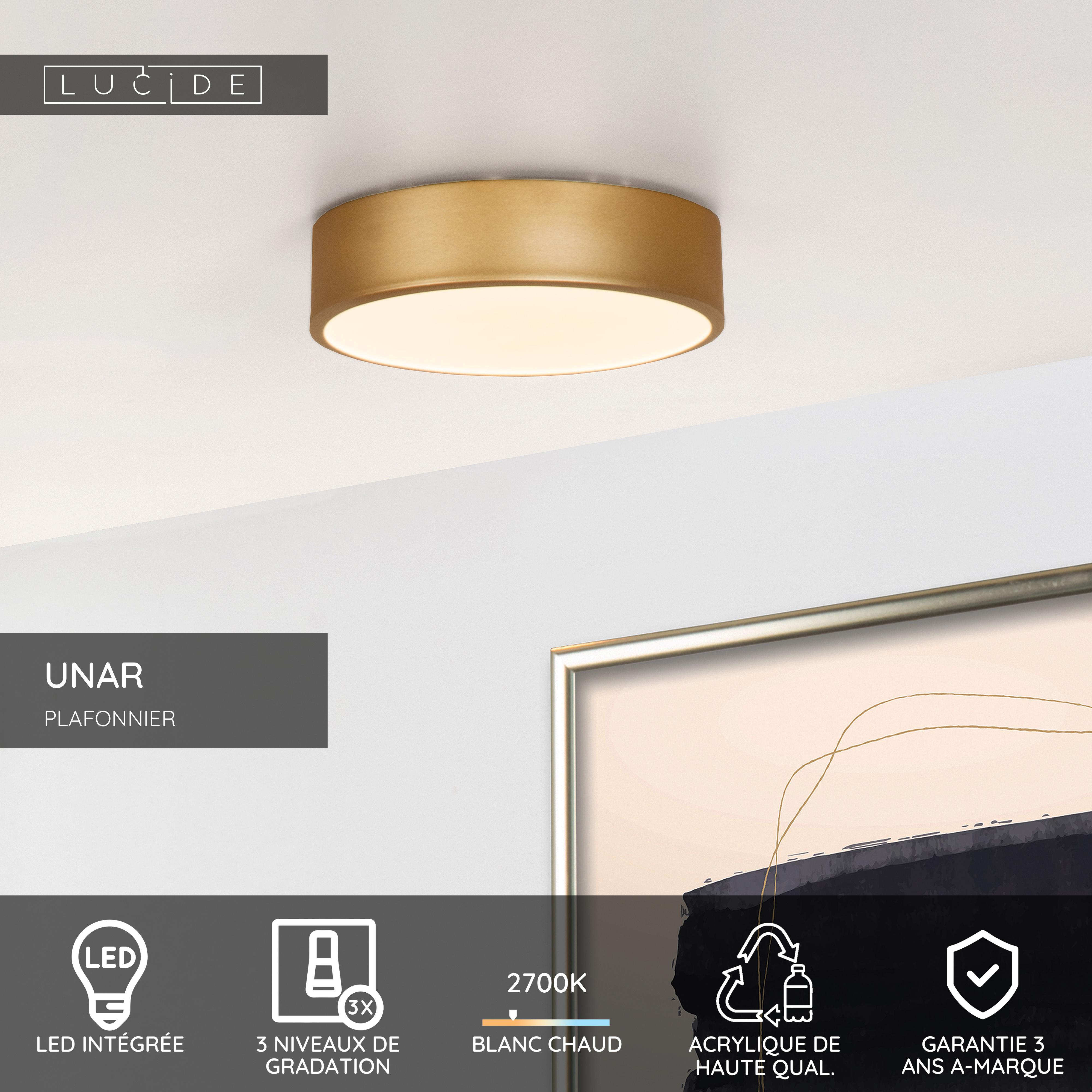 Plafonnier LED Paul Neuhaus Nevis – Rond 30cm, 26W, Blanc Chaud, Dimmable, Or Rouillé