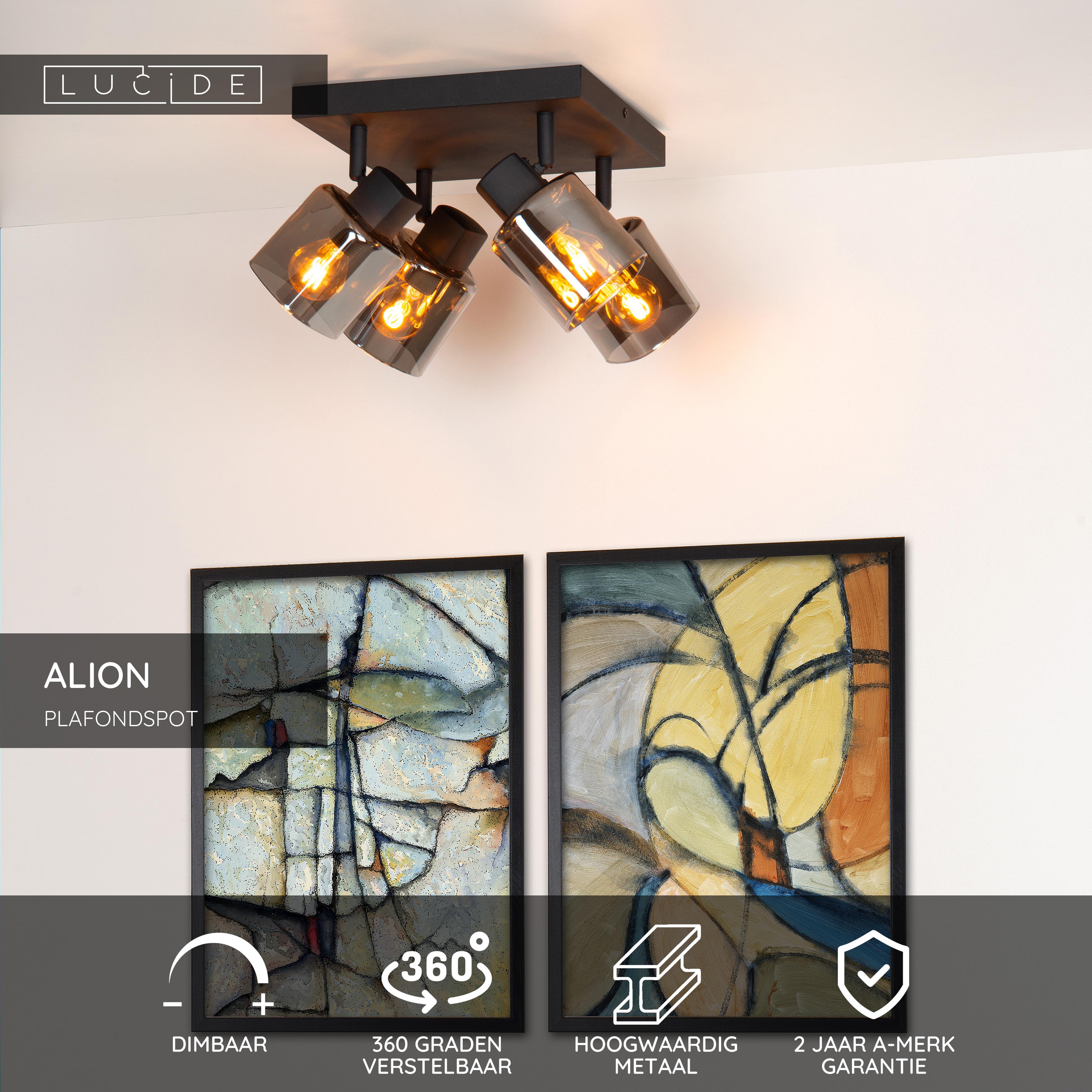 Plafondlamp Peking 2008 bij in webshop en showroom