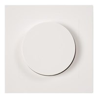 Lucide LED dimmer Trailing Edge And Leading Edge RL 5-150W / Phase Broach RC 5-300W White turned on 1