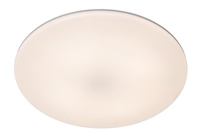 Lucide OLSON - Plafonnière Badkamer - Ø 29 cm - LED - CCT - 1x24W 3000K/6500K - IP44 - Opaal
