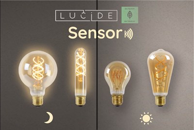 waarom niet Nacht groef Lucide Twilight Sensor lampen